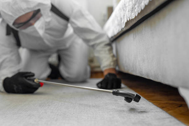 Professional Bed Bug Control technician working in Lehighton, PA