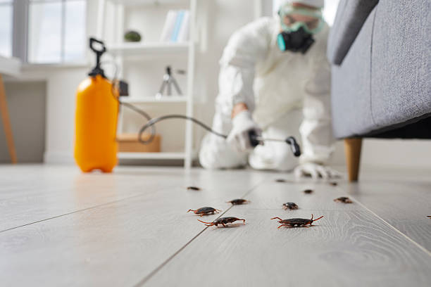 Trusted Cockroach Control service in Lehighton, PA - Nex Pest Control
