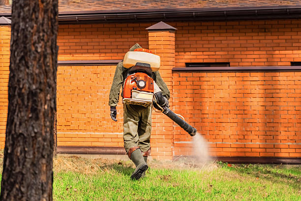 Trusted Termite Control service in Lehighton, PA - Nex Pest Control